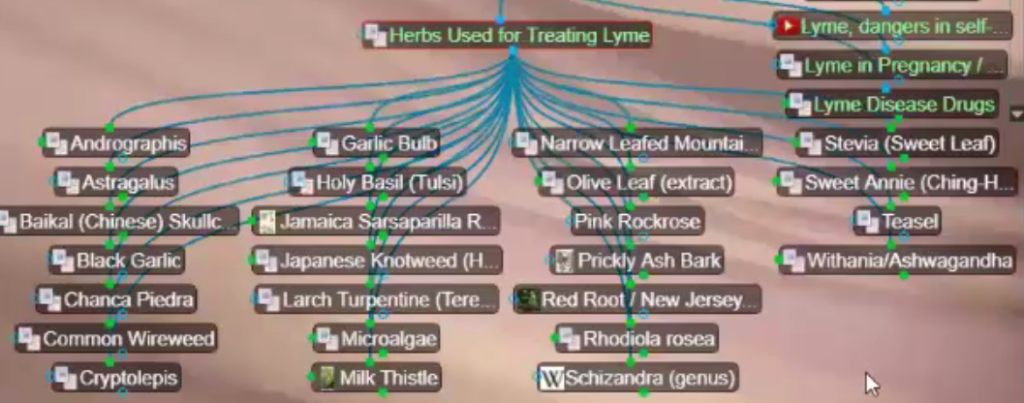 herbs for treating Lyme