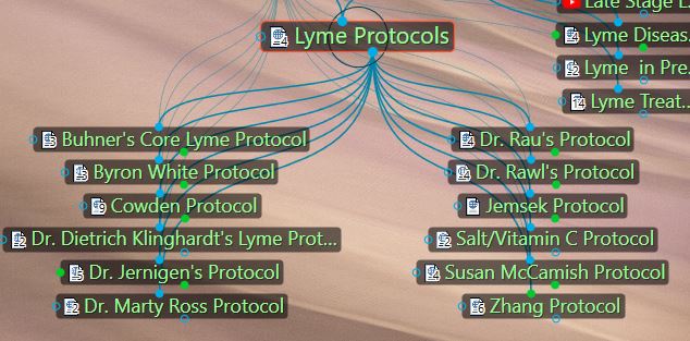 Lyme protocols