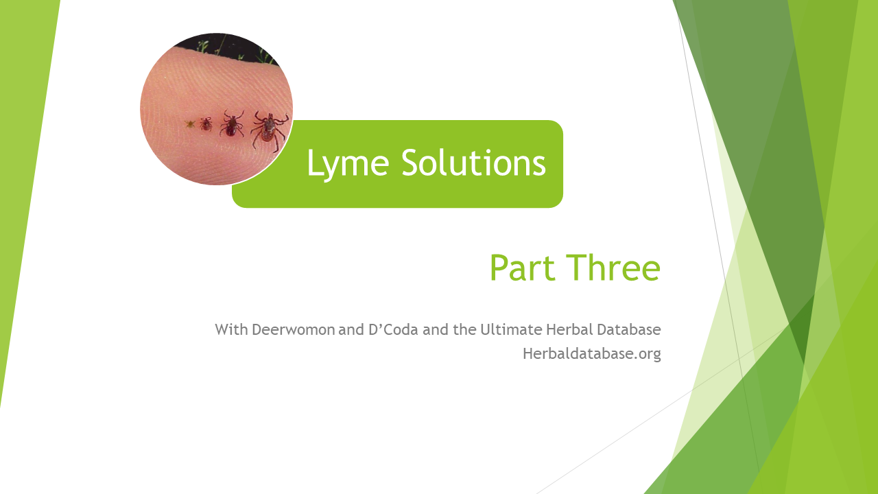 Lyme Solutions – Part Three – Diagnosis