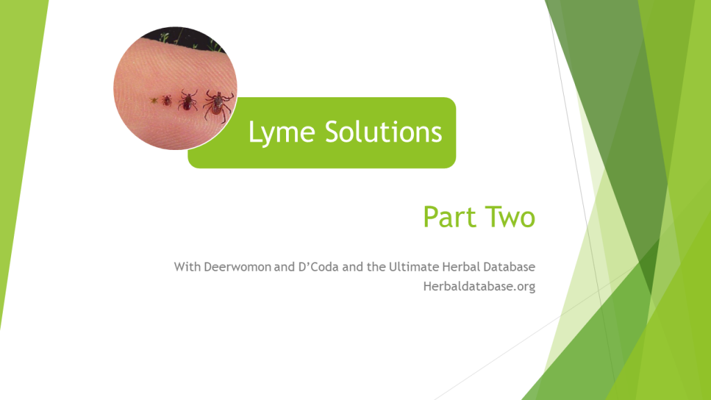 Lyme Pt Two diagnosis