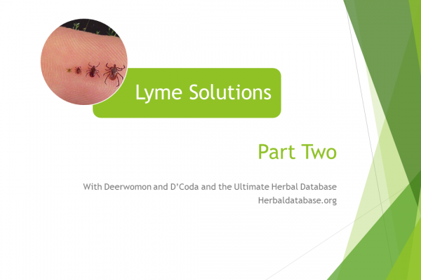 Lyme Solutions Pt 2 – Diagnosis