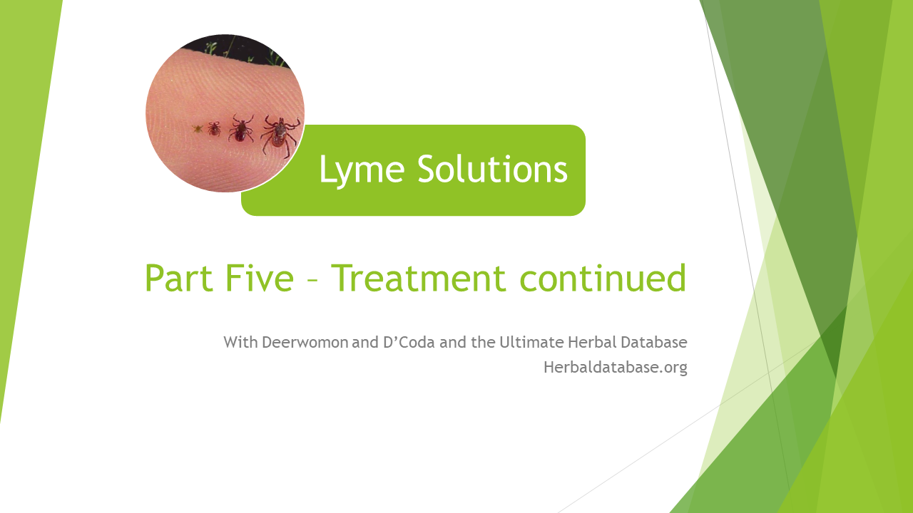 Lyme Solutions – Part Five – Treatment continued