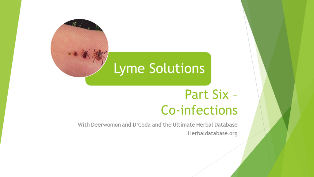 Lyme coinfections