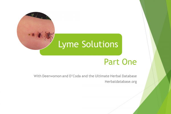 Lyme Solutions Pt 1 – Ticks!